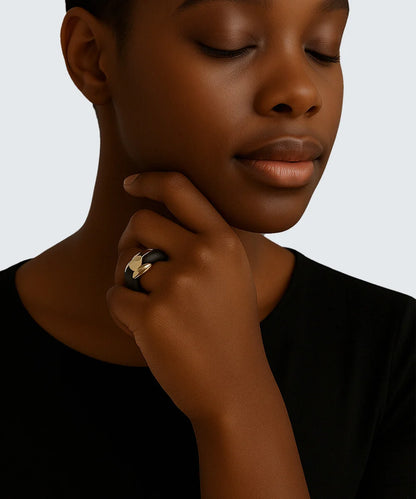 Black Titanium Ring In 18K Gold