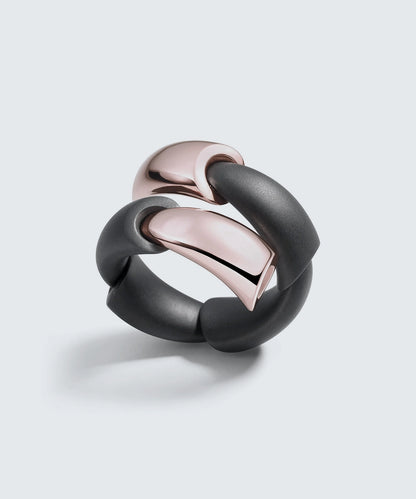 Black Titanium Ring In 18K Gold