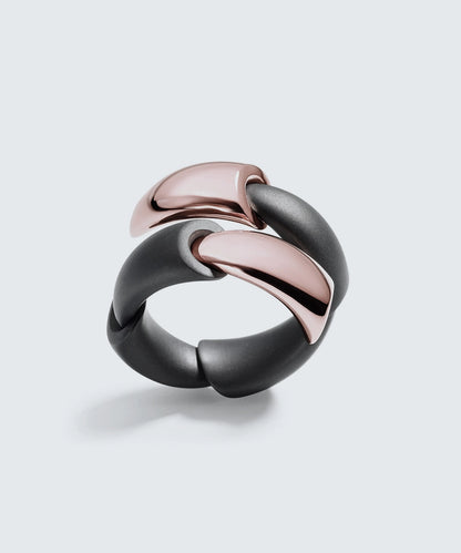 Black Titanium Ring In 18K Gold